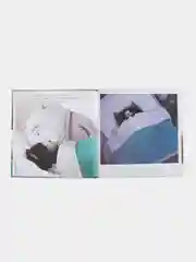 Котенок Шмяк. Добрых снов, Шмяк!