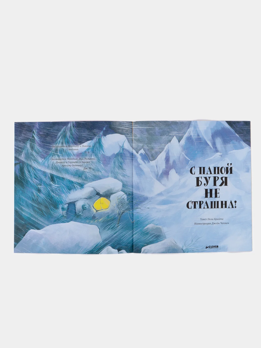 Книжки-картинки (мягкая обложка). С папой буря не страшна!
