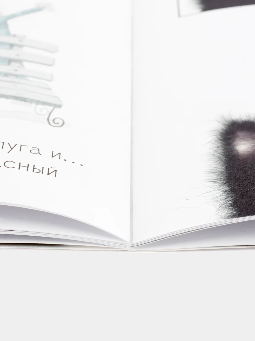 Книжки-картинки (мягкая обложка). С любовью, Шмяк!