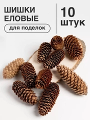 Игрушки / Декор / Интерьер / Шишки / Поделки / Развивающие игрушки / Антистресс /