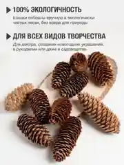 Игрушки / Декор / Интерьер / Шишки / Поделки / Развивающие игрушки / Антистресс /