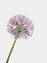 Сиреневый искусственные цветы для декора