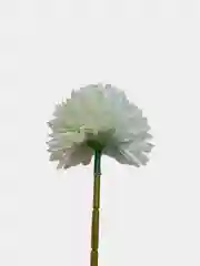 Зеленый искусственные цветы для декора