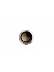 Тормозной поршень (2 шт.) суппорта ВАЗ 2108-21099, 2110-2112, 2113-2115