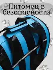 Синий сумка-переноска для домашних животных, от 3 до 8 кг