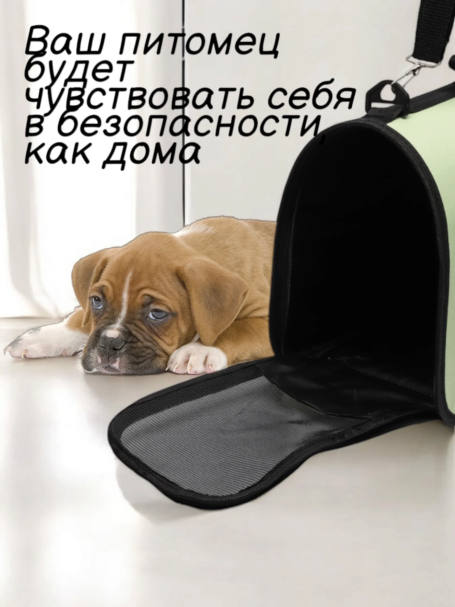 Мятный сумка-переноска для домашних животных, с принтом, от 3 до 8 кг