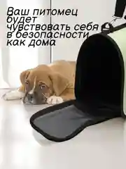 Мятный сумка-переноска для домашних животных, с принтом, от 3 до 8 кг