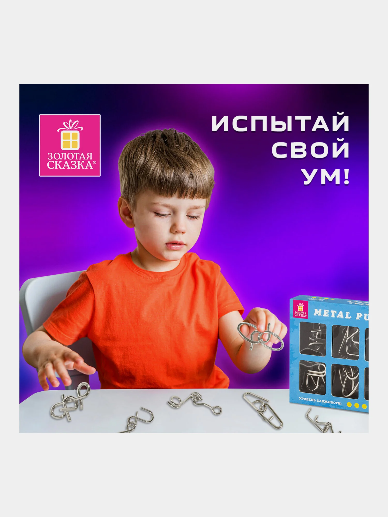 Головоломки металлические ЗОЛОТАЯ СКАЗКА (уровень сложности "ЭКСПЕРТ"), набор 6 штук