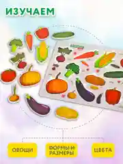 Рамка вкладыш Brauberg Kids, 665255, деревянная Монтессори, сортер для малышей Овощи