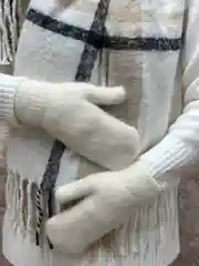 Варежки зимние, женские, вязаные, теплые, из ангоры