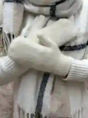 Варежки зимние, женские, вязаные, теплые, из ангоры