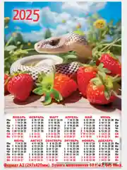 Коралловый листовой календарь 2025г. А3 40 видов.Символ года. Православный Мусульманский Природа и др