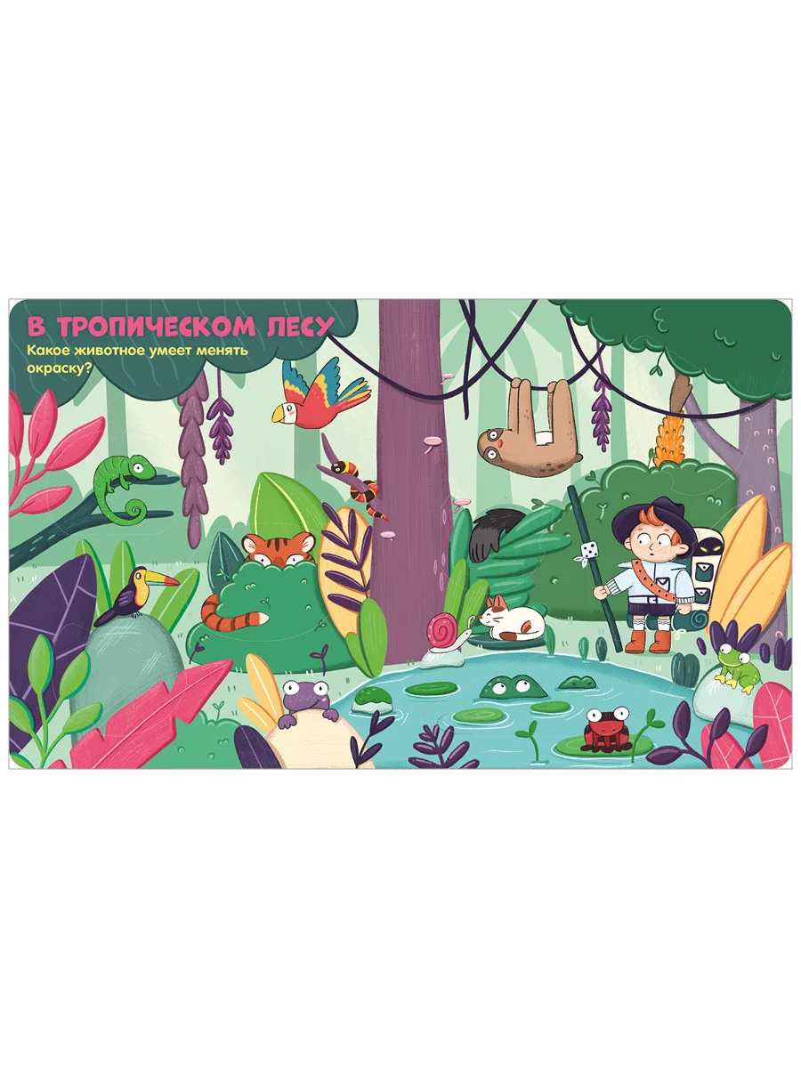 Книжка с окошками. Животные