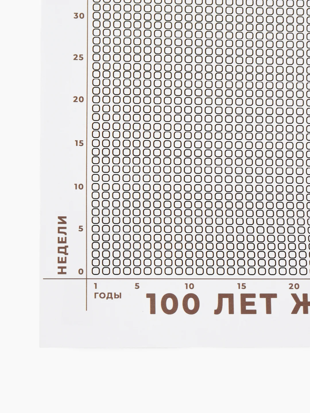 Календарь жизни в неделях, Формат А3, 100 лет в неделях