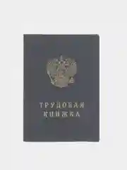 Трудовая книжка