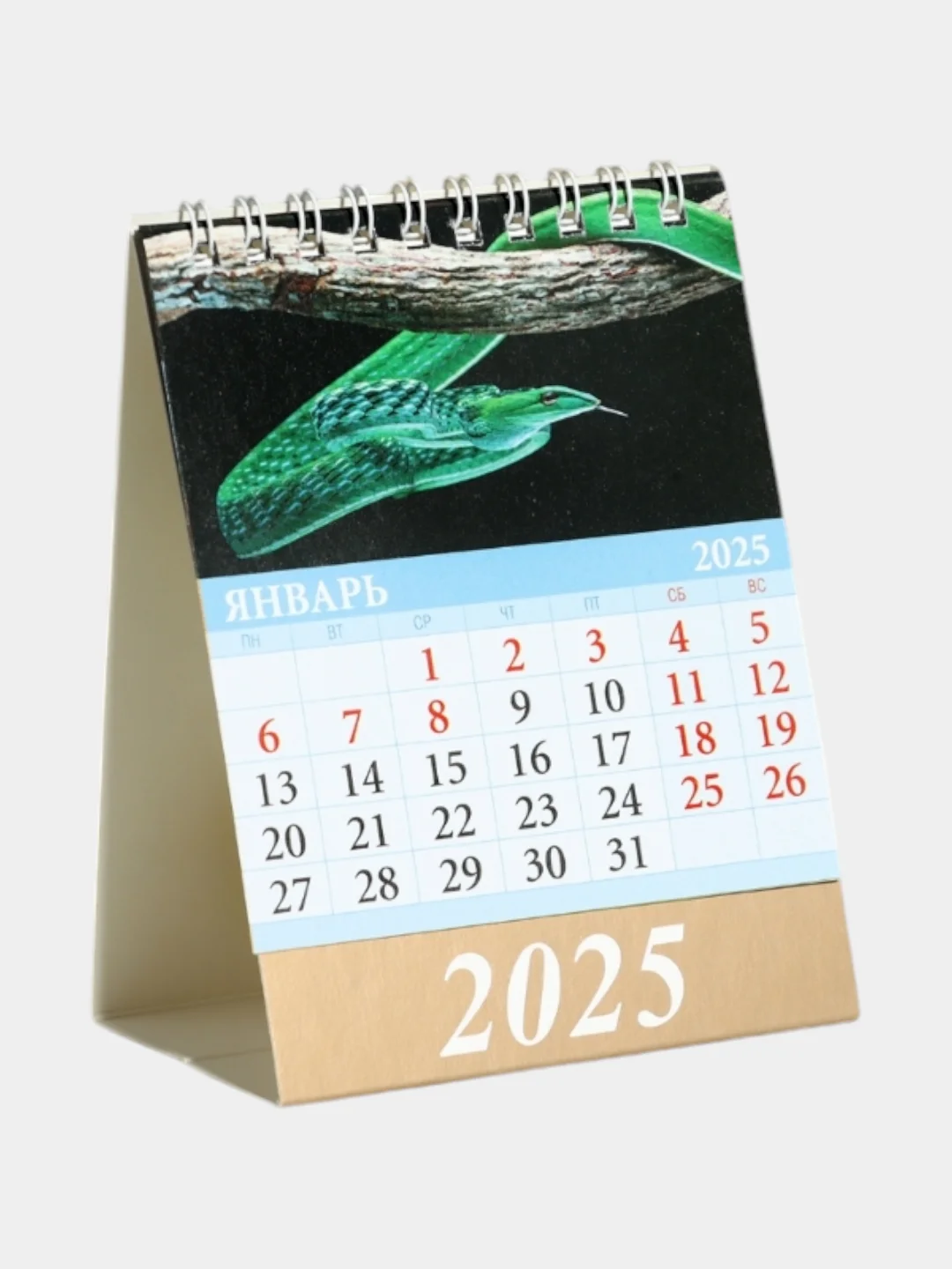 Календарь настольный, домик "Символ года - змея" на 2025 год, 10 х 14 см