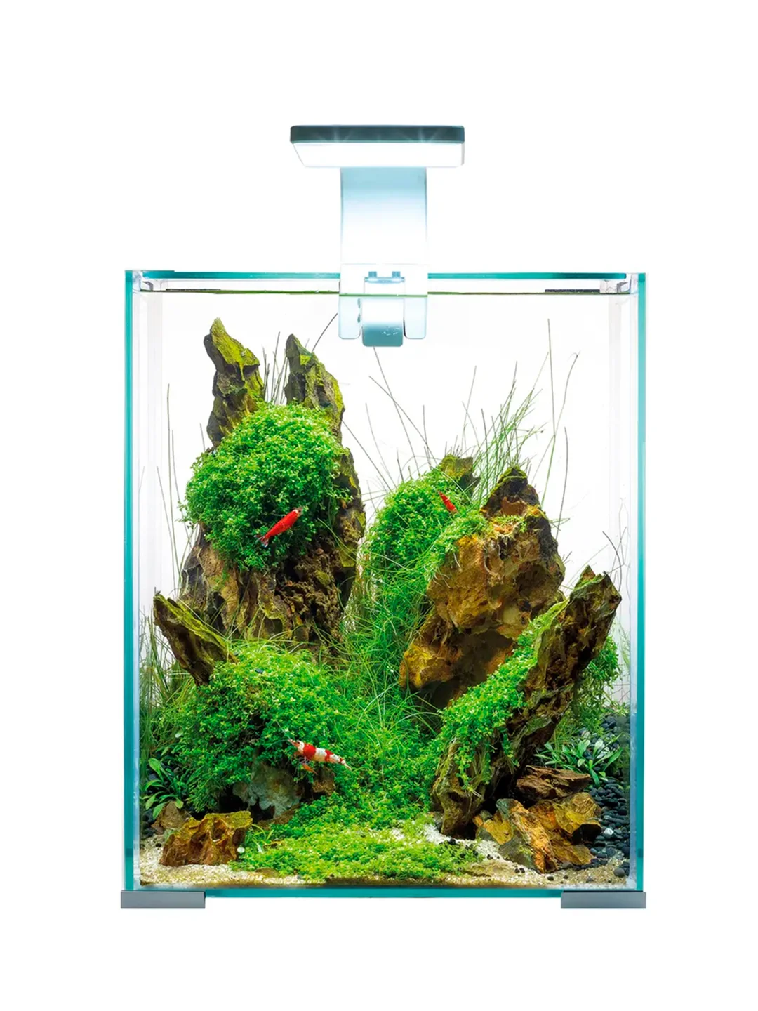 Аквариум для рыб и креветок Акваэль Shrimp Set Smart Led Day&Night, белый, 19л, 25х25х30см