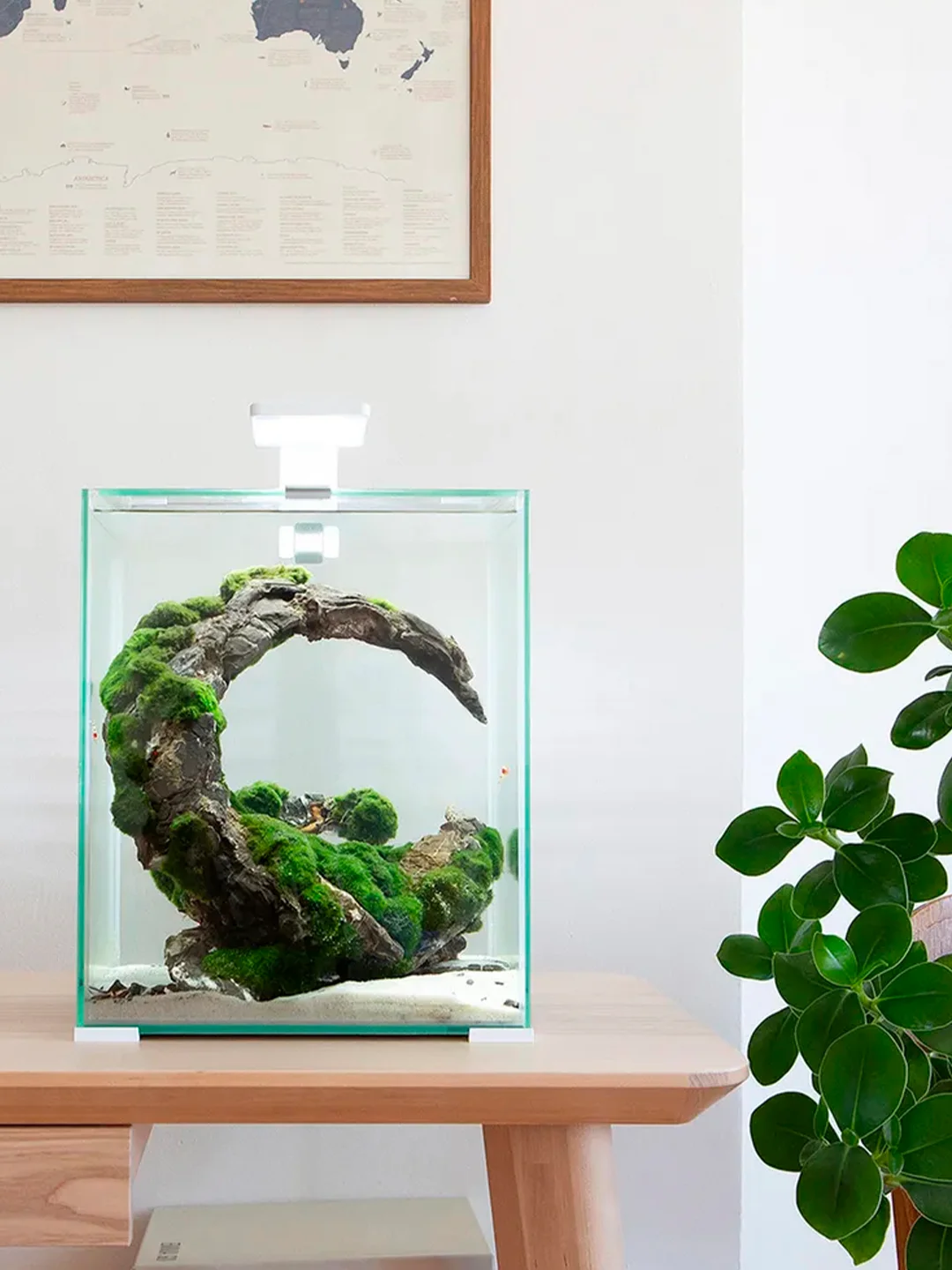 Аквариум для рыб и креветок Акваэль Shrimp Set Smart Led Day&Night, белый, 19л, 25х25х30см