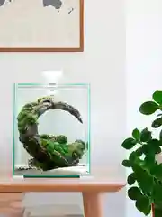 Аквариум для рыб и креветок Акваэль Shrimp Set Smart Led Day&Night, белый, 19л, 25х25х30см