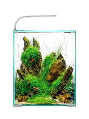 Аквариум для рыб и креветок Акваэль Shrimp Set Smart Led Day&Night, белый, 19л, 25х25х30см