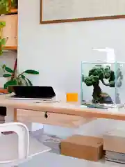 Аквариум для рыб и креветок Акваэль Shrimp Set Smart Led Day&Night, белый, 19л, 25х25х30см