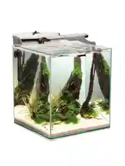 Aквариум Акваэль Fish&Shrimp Set Duo D&N, 49 л, 35х35х40 см, черный