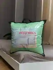 Салатовый подарочная подушка с искусственным пухом, чехол Бамбук, стильная сумка, 50x70 или 70x70 см