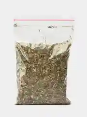 Лакомство для кошек - кошачья мята, котовник
