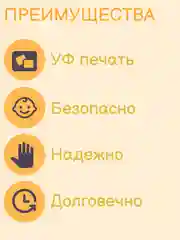 Сортер детский развивающий В гостях у мишки