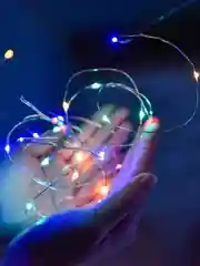 Гирлянда роса нить цветная 2 метра на батарейках