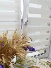 Рулонная штора 80х160 ECODECOR День/ночь натуральный лен