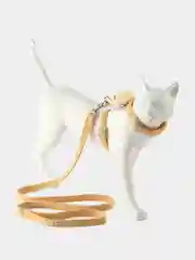 Шлейка для кошек