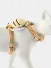Шлейка для кошек