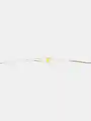 Гирлянда Занавес с пультом, мультиколор, 300 LED, 3*3 м