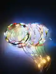 Гирлянда Занавес с пультом, мультиколор, 300 LED, 3*3 м