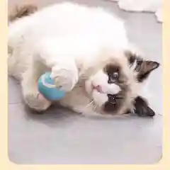 Игрушка мяч для кошек и собак, интерактивная
