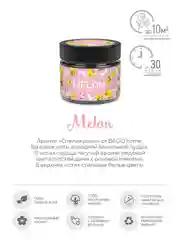 Сочная дыня BAGO home Ароматическая свеча в стекле 80 г