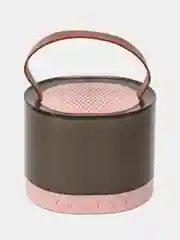 Розовый детское беспроводное караоке-колонка с микрофоном