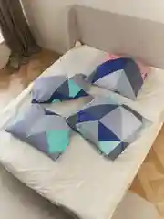 Комплект из 2 наволочек, 50 x 70 и 70 x 70 см, полисатин, с принтом
