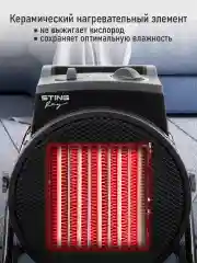 Красный тепловентилятор STINGRAY ST-FH1067A черный/красный