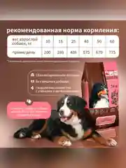 Сухой полнорационный корм для собак «Рыба и рис»ТМ «Дилли».
