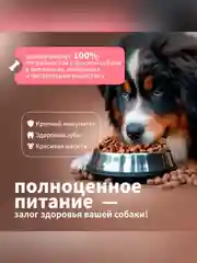 Сухой полнорационный корм для собак «Рыба и рис»ТМ «Дилли».