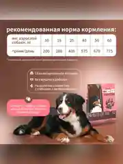 Сухой полнорационный корм для собак «Рыба и рис»ТМ «Дилли».