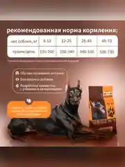 Сухой полнорационный корм для собак активных пород ТМ «Дилли»