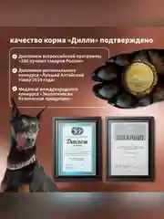 Сухой полнорационный корм для собак активных пород ТМ «Дилли»