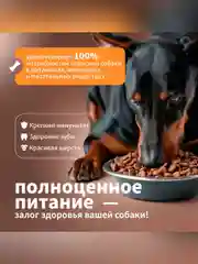 Сухой полнорационный корм для собак активных пород ТМ «Дилли»