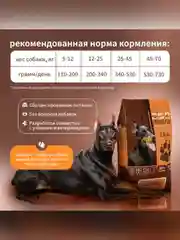 Сухой полнорационный корм для собак активных пород ТМ «Дилли»