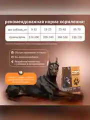 Сухой полнорационный корм для собак активных пород ТМ «Дилли»