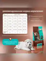Сухой полнорационный корм для щенков крупных пород ТМ «Дилли».