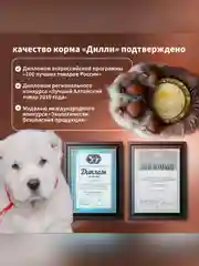Сухой полнорационный корм для щенков крупных пород ТМ «Дилли».